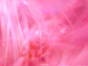 + 感じる +