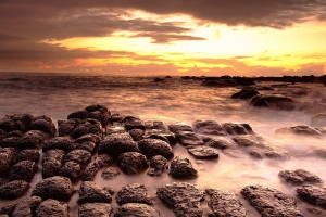 和平島豆腐晨景
