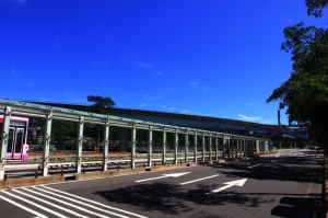 木柵動物園、貓空纜車