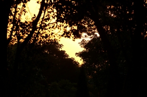 秋天黃昏+水滴拍攝&nbsp;&nbsp;&nbsp;&nbsp;&nbsp;&nbsp;小小白IS拍攝