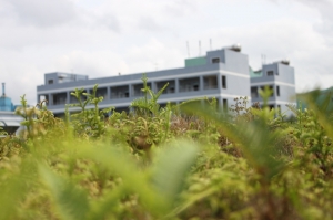 .....白髮老頭跟單眼的邂逅....8/12更新