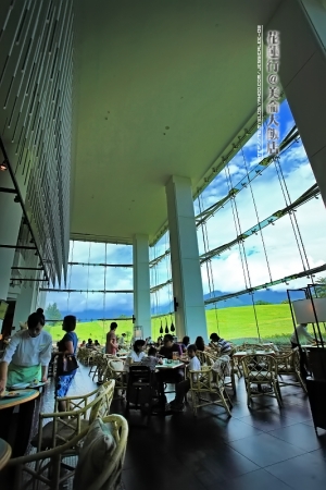 (chujy) 20090616_花蓮行(上) - 美侖飯店(晨)