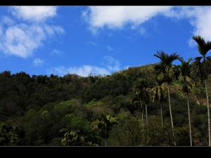 秋紅谷人很多之遊