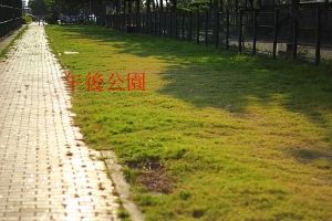 午後公園