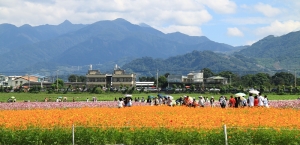 2010新社花海