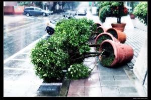 慢郎中蘇拉來襲~台北市有驚無險~~BY 好攝客