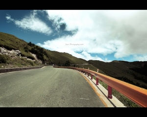 合歡．春．印象