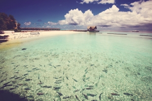 Honeymoon At 馬爾代夫~