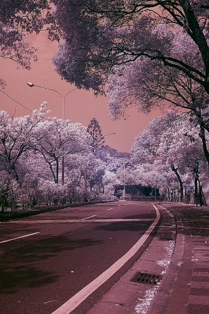 高速IR