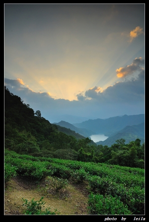 格頭晨曦