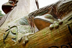 內洞生態小品~不專業分享