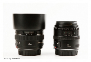 用 Canon 50mm f1.4和50mm f2.5 macro 外拍人像