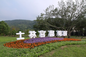 官邸菊展之16-35打小花