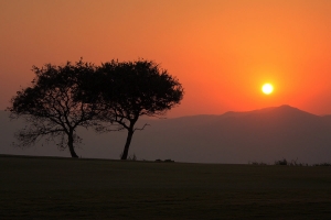 夕陽無限好