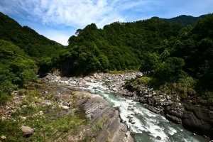 盛夏．司馬庫斯