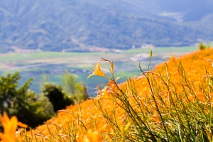 我也來趕流行六十石山之旅