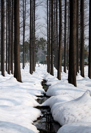 到處在下雪  我也來曬夏雪