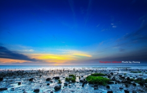 香山濕地ˇˇ大家都在搖