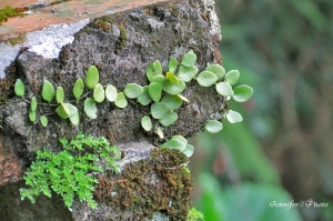穿梭-指南宮後山
