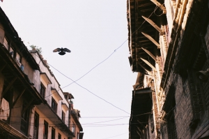 聖母腳下~~尼泊爾~~~(圖多)