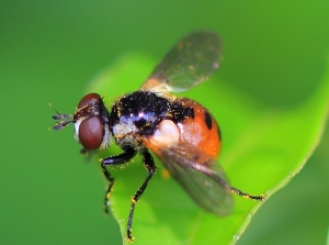 不要再裝了好嗎?