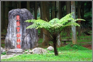 TC-Wang~~惠蓀林場