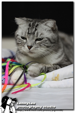 不要吵我～by Lenny