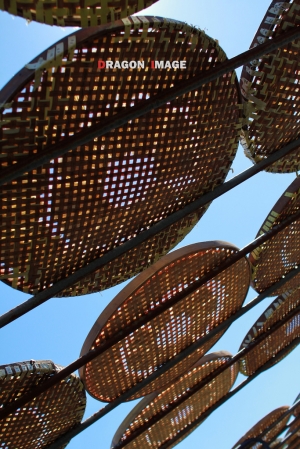 關廟曬麵-條條皆辛苦