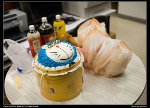 小叮噹蛋糕(28-70L)