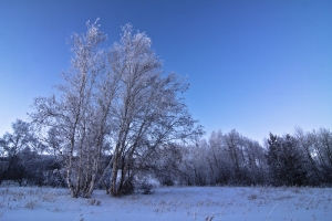 岂是一个“冷”字能解释，要切身体会。。。