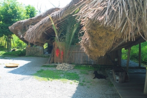 現代烏托邦「不老部落」