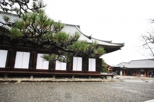 雨の三十三間堂
