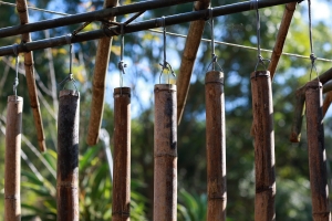 今年的秋天還很美