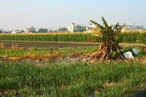 *** 晨昏時刻 *** by 拿鐵