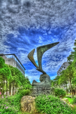 HDR 一張流