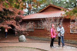 福壽山松廬之楓紅片片