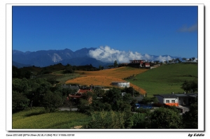 一整個憂鬱的..金針山...