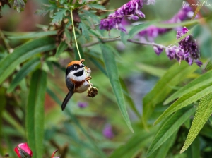 囂叮噹 運動的樣子