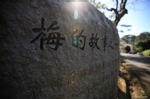 2010.01.09 角板山賞梅