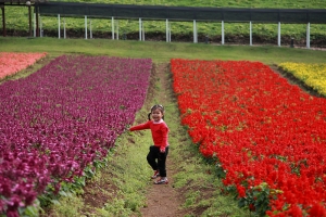 這一家系列-  真會混3 兼  側拍重考