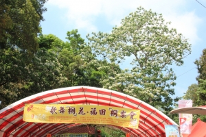 2011 彰化  福田社區桐花