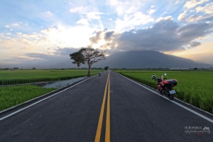 台東池上伯朗大道