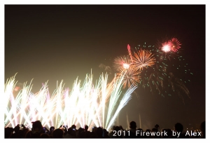 2011愛河煙火