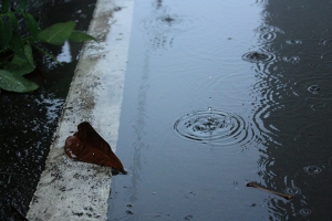 雨~