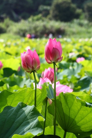 荷你在一起後續追蹤報導