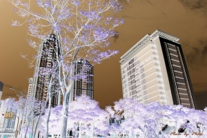 藍天之下建築物的負片效果(單張)