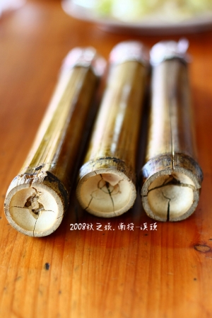 南投神木之旅-溪頭