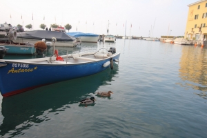 義大利走走 - 西米歐尼湖畔小鎮+加達湖遊船+米其林推薦餐