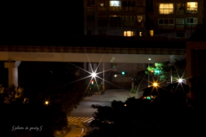 慶「升」，星芒一張