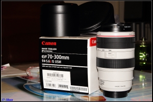 人生第一隻L鏡(簡開)與紅白水芙蓉之戀(雜拍) ... By TONY